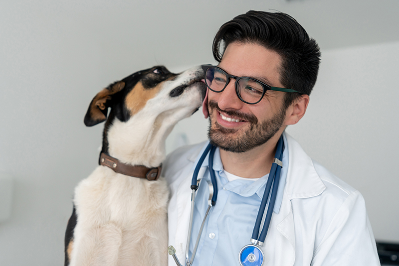 veterinarian
